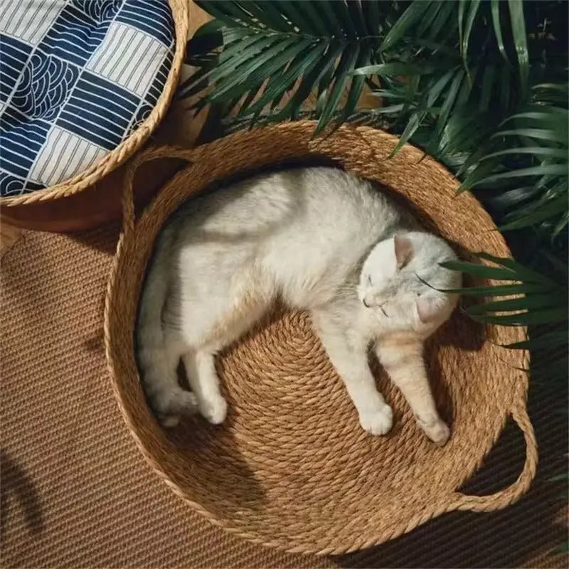 Eco Paws - Brownstick