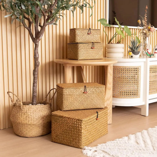 4 Pack Handwoven Seagrass Storage Baskets with Lids – Rustic Organizer Set Brownstick