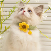 Handmade Flower Pet Collar with Bell – Wool Knit for Pets Brownstick