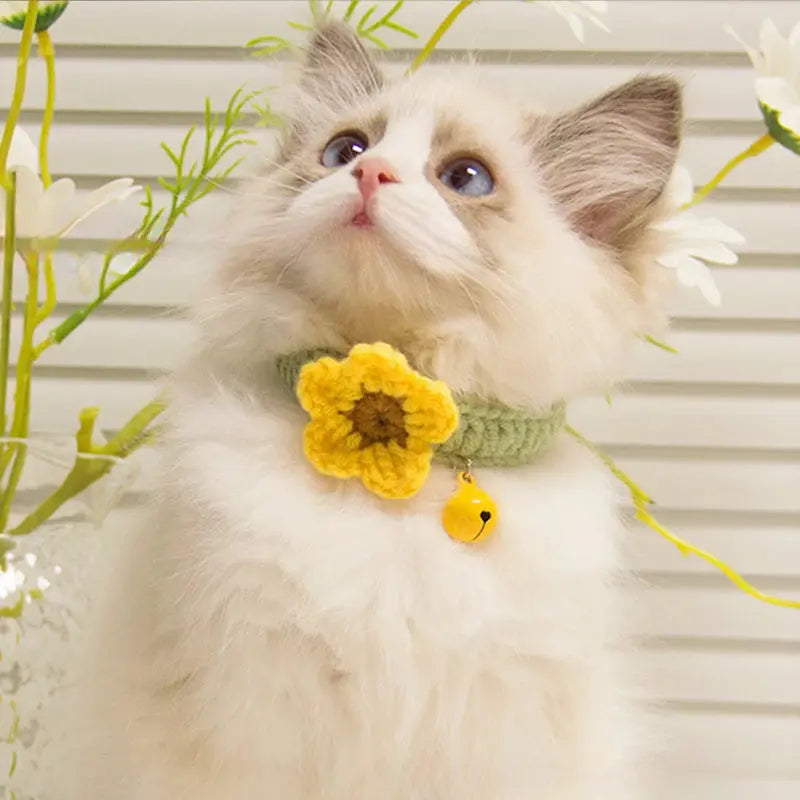 Handmade Flower Pet Collar with Bell – Wool Knit for Pets Brownstick
