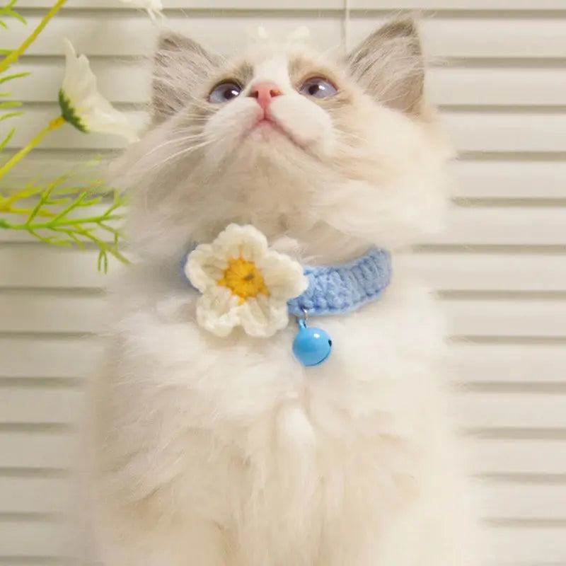 Handmade Flower Pet Collar with Bell – Wool Knit for Pets Brownstick