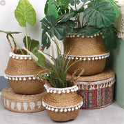 Handmade Foldable Seagrass Belly Basket – Eco-Friendly Storage & Planter Brownstick