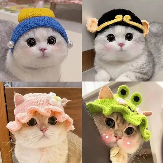 Handmade wool crochet pet hat for small and medium - sized dogs and cats - Brownstick
