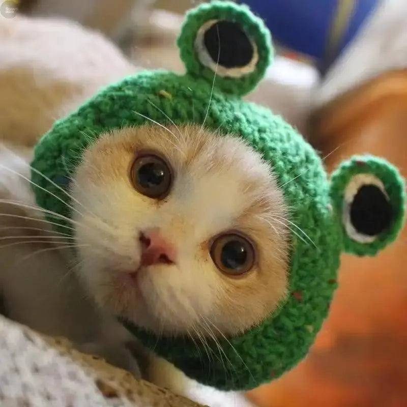Handmade wool crochet pet hat for small and medium - sized dogs and cats - Brownstick