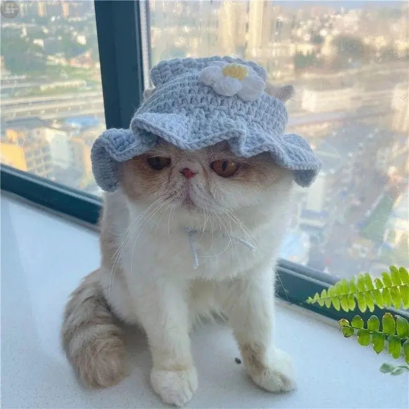 Handmade wool crochet pet hat for small and medium - sized dogs and cats - Brownstick