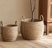 Handwoven Seagrass Belly Basket with Handles – Storage & Plant Basket