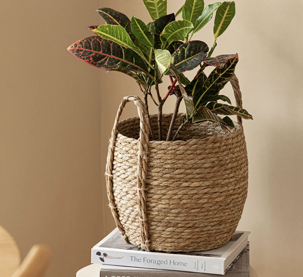 Handwoven Seagrass Belly Basket with Handles – Storage & Plant Basket