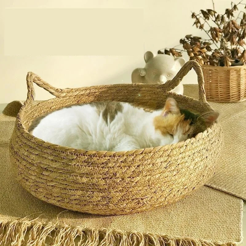 Washable Rattan Cat Bed with Scratcher & Cushion – Pet House Brownstick