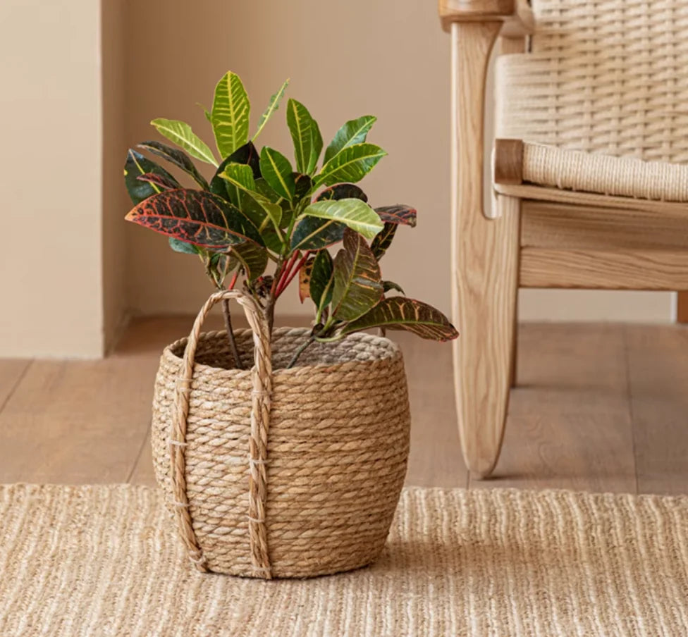 Handwoven Seagrass Belly Basket with Handles – Storage & Plant Basket